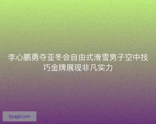 李心鹏勇夺亚冬会自由式滑雪男子空中技巧金牌展现非凡实力 李心鹏勇夺亚冬会自由式滑雪男子空中技巧金牌展现非凡实力